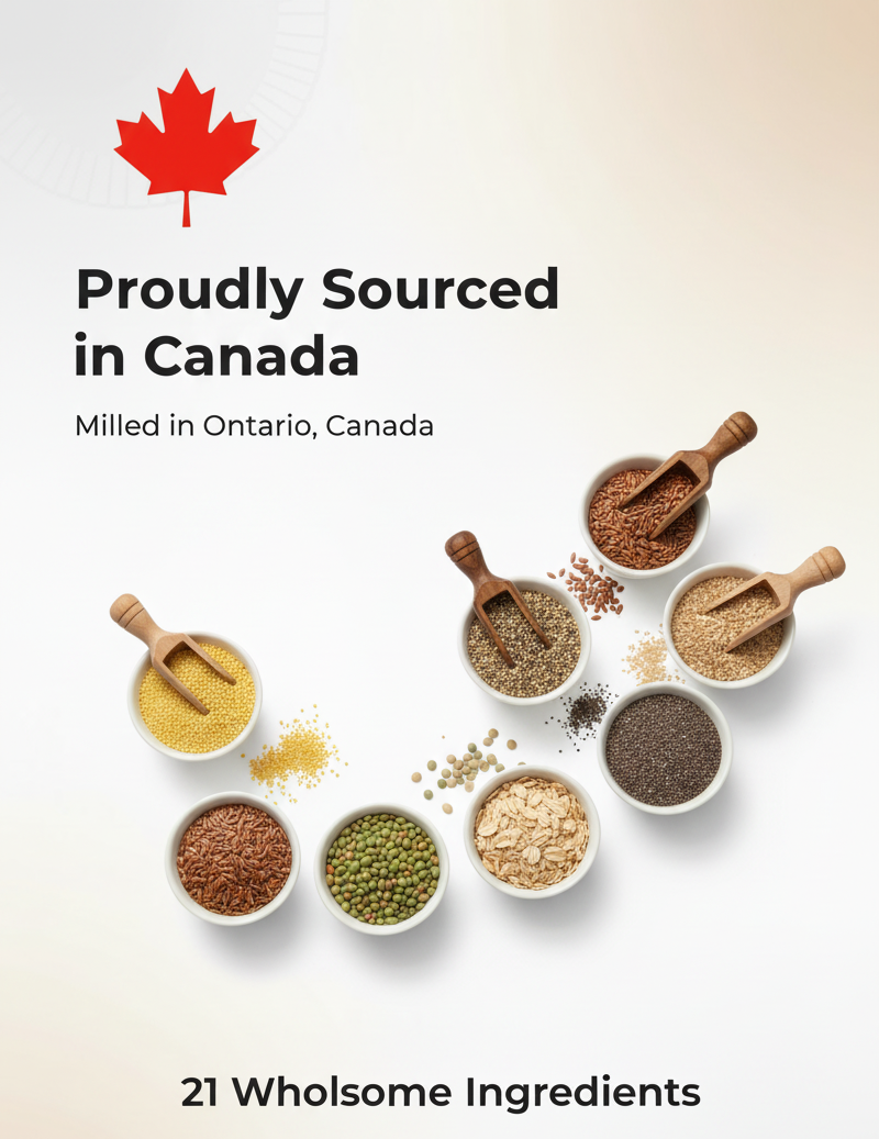 Family 21 Flour Whole Grain.